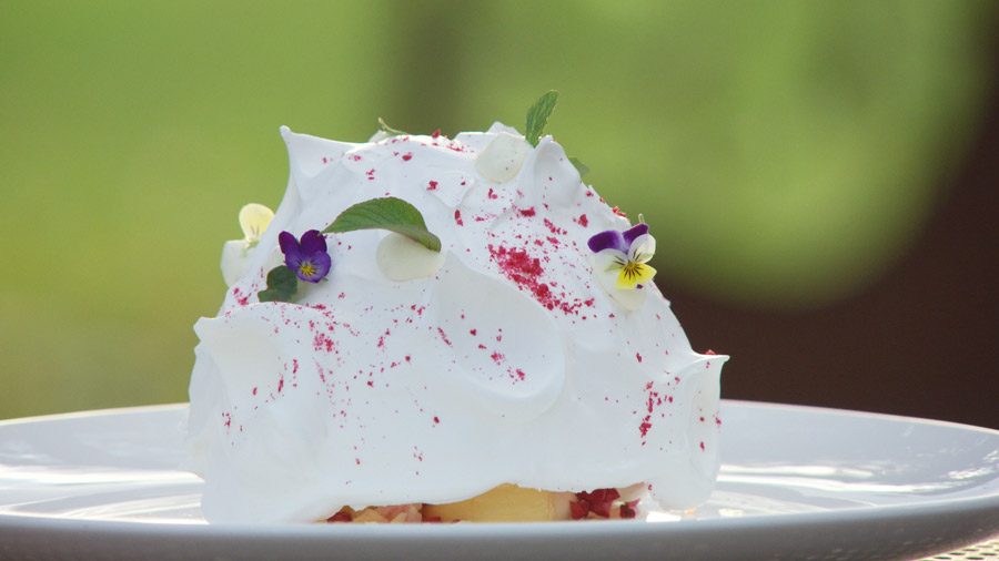 Pavlova-image