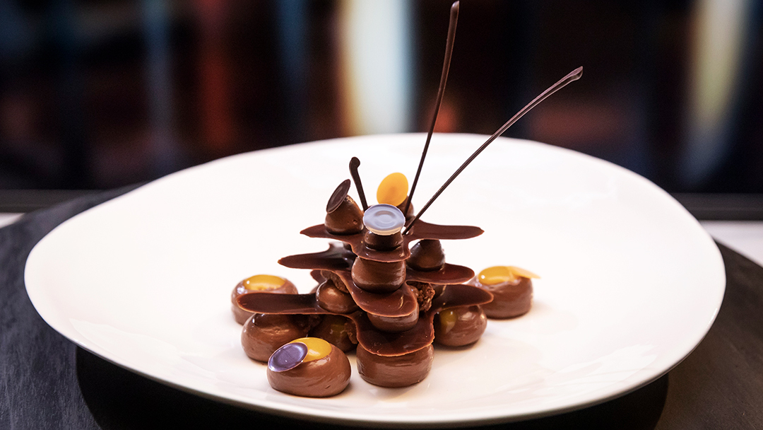 Chocolate Oasis-image